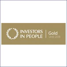 BRITA vision investors in people gold